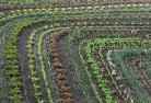 Etna Creekorganic-gardening-10.jpg; ?>