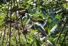 Etna Creekorganic-gardening-3.jpg; ?>