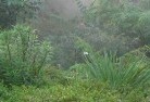 Etna Creekorganic-gardening-8.jpg; ?>